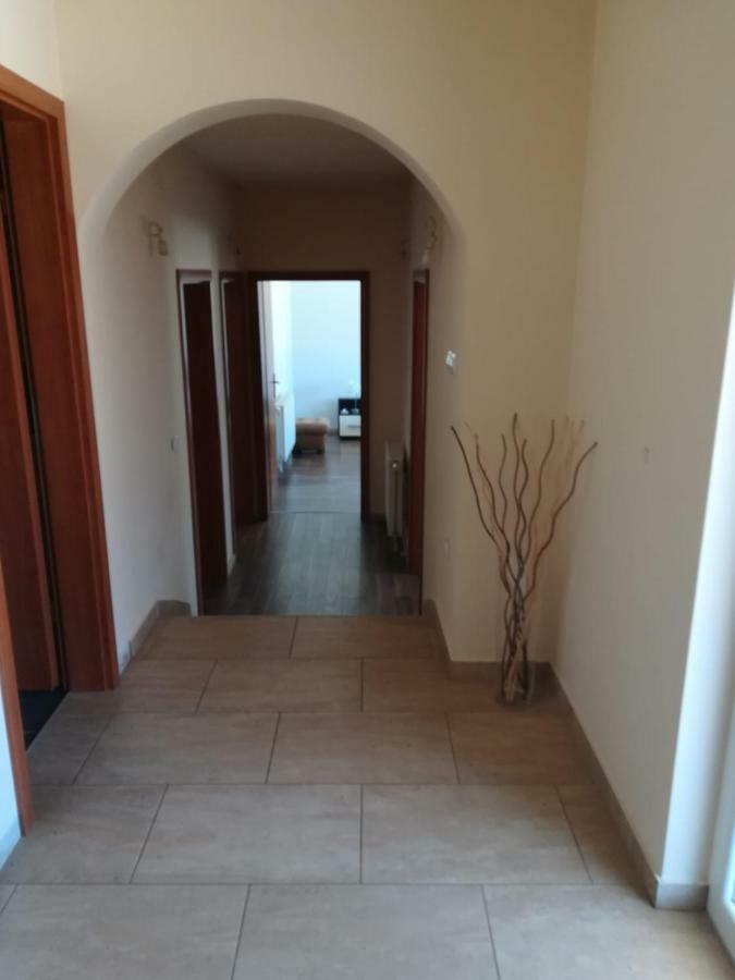 Apartament Laura Bibinje Zewnętrze zdjęcie